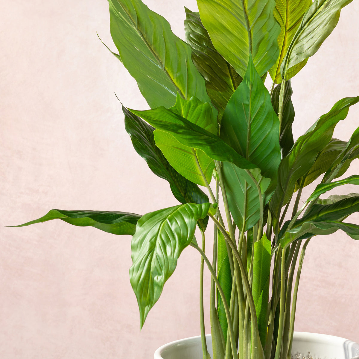 Artificial Peace Lilly Plant 75cm (W/O pot)