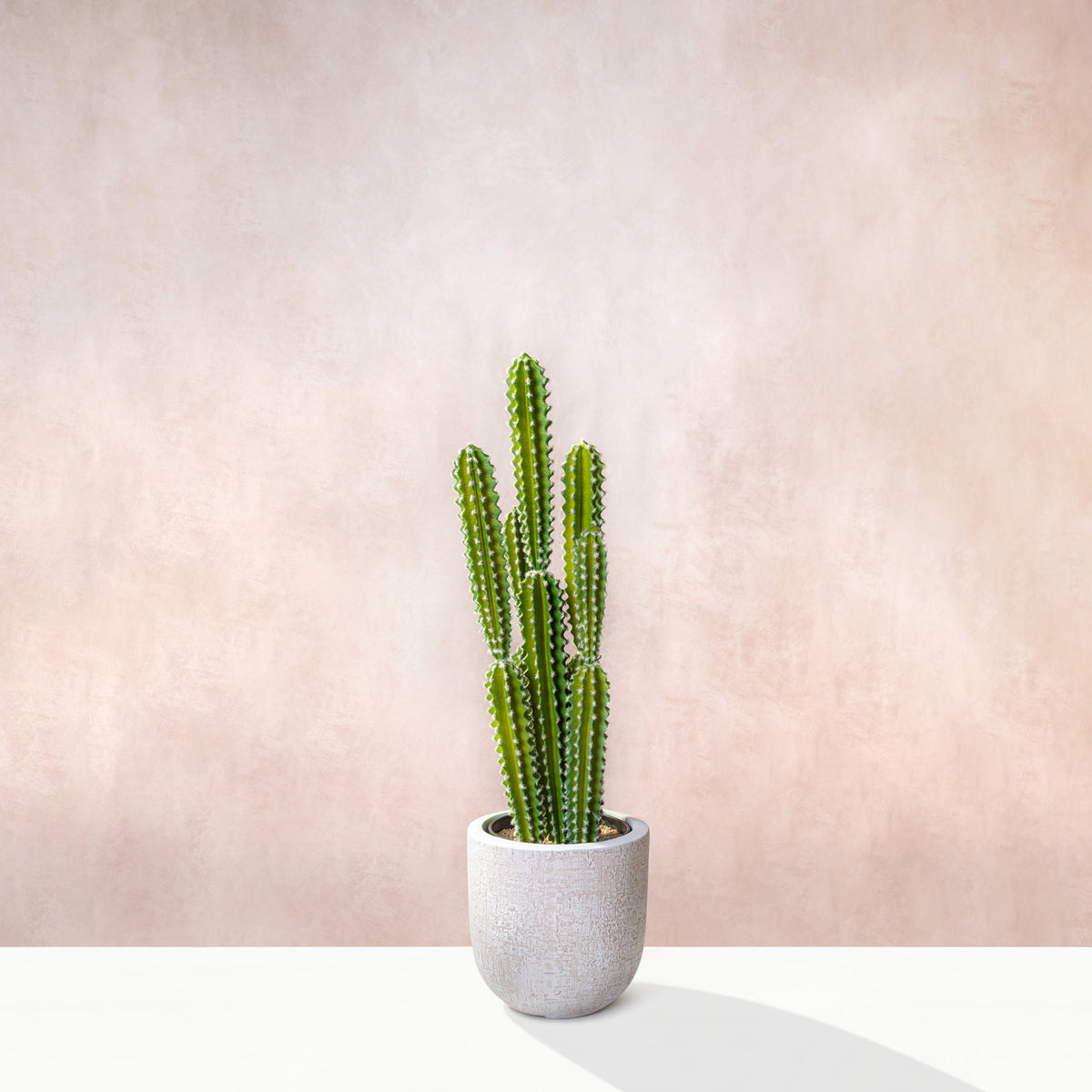 Artificial Cactus Plant 80cm (W/O Pot)