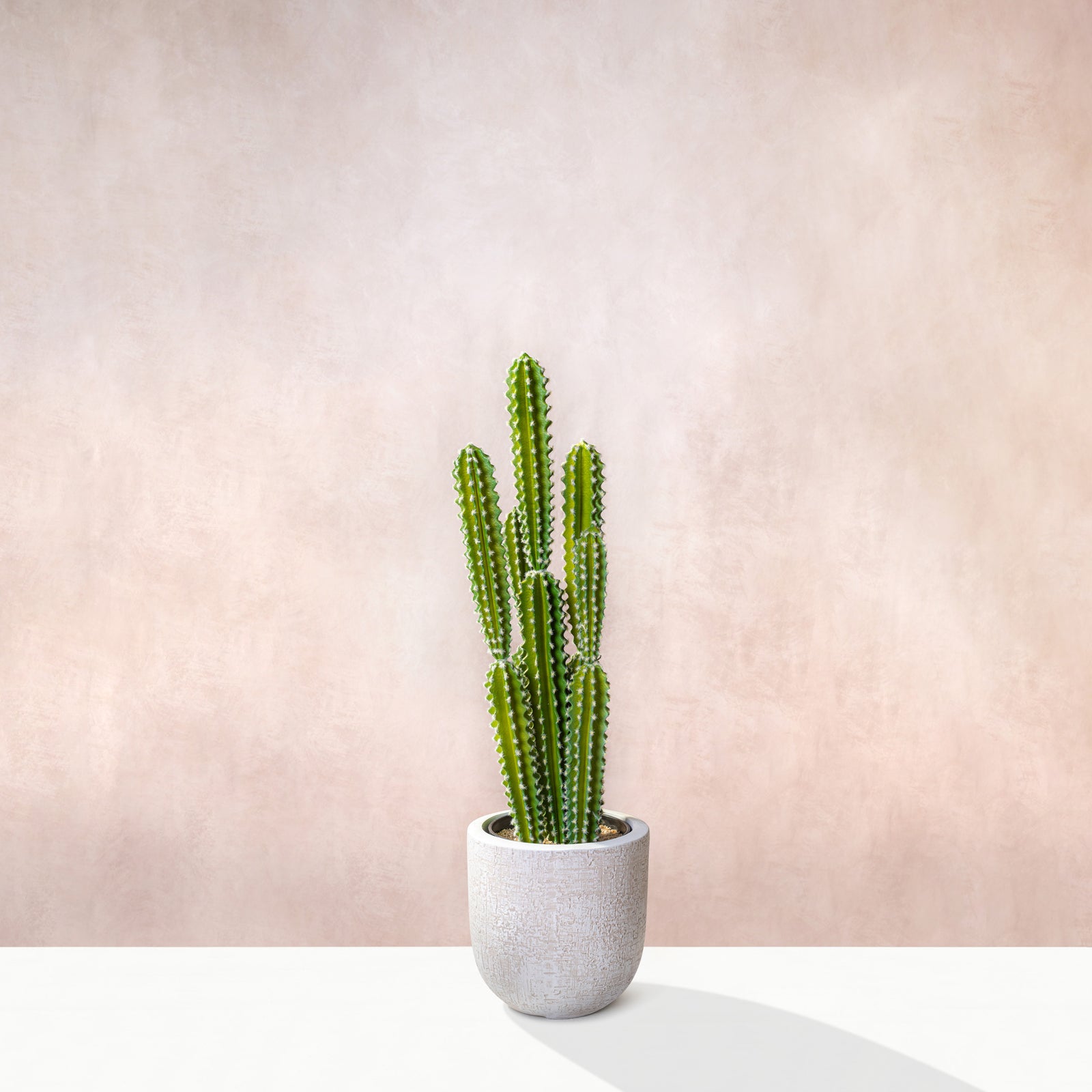 Artificial Cactus Plant 80cm (W/O Pot)
