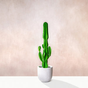 Artificial Saguaro Cactus Plant 150cm (W/O pot)