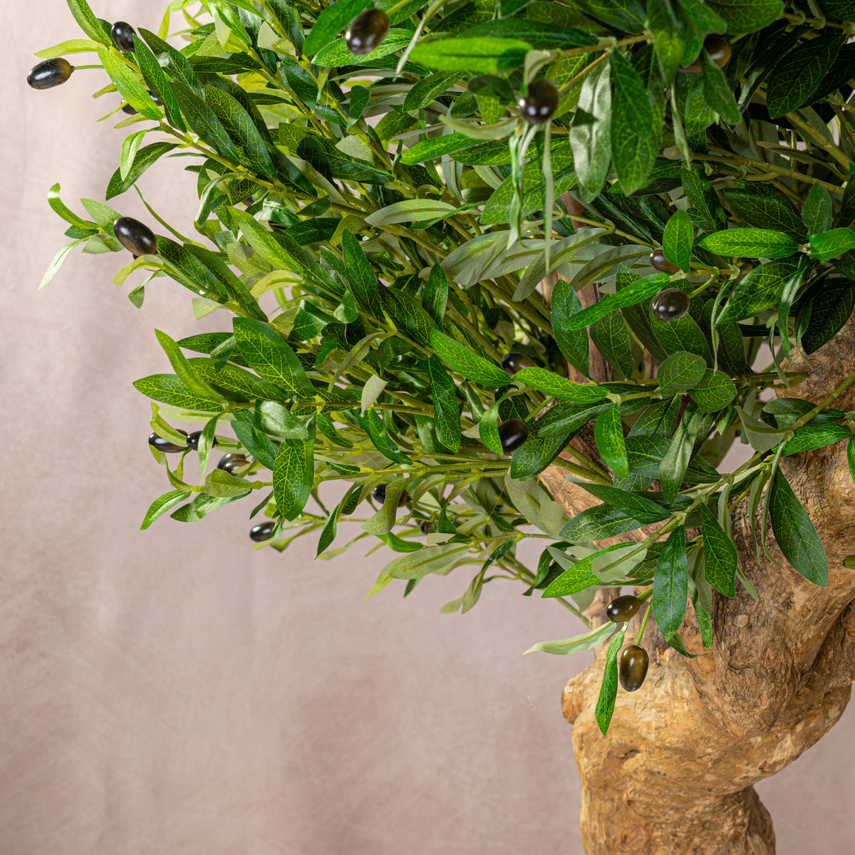 Artificial Olive Tree Natural Coffee Trunk (W/O pot)