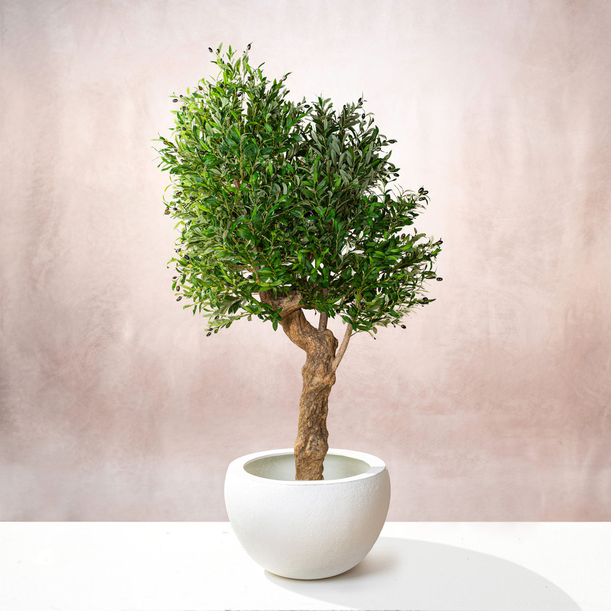 Artificial Olive Tree Natural Coffee Trunk (W/O pot)