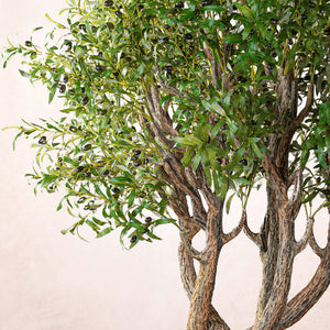 Artificial Handmade Bended Olive Tree 210cm (W/O pot)