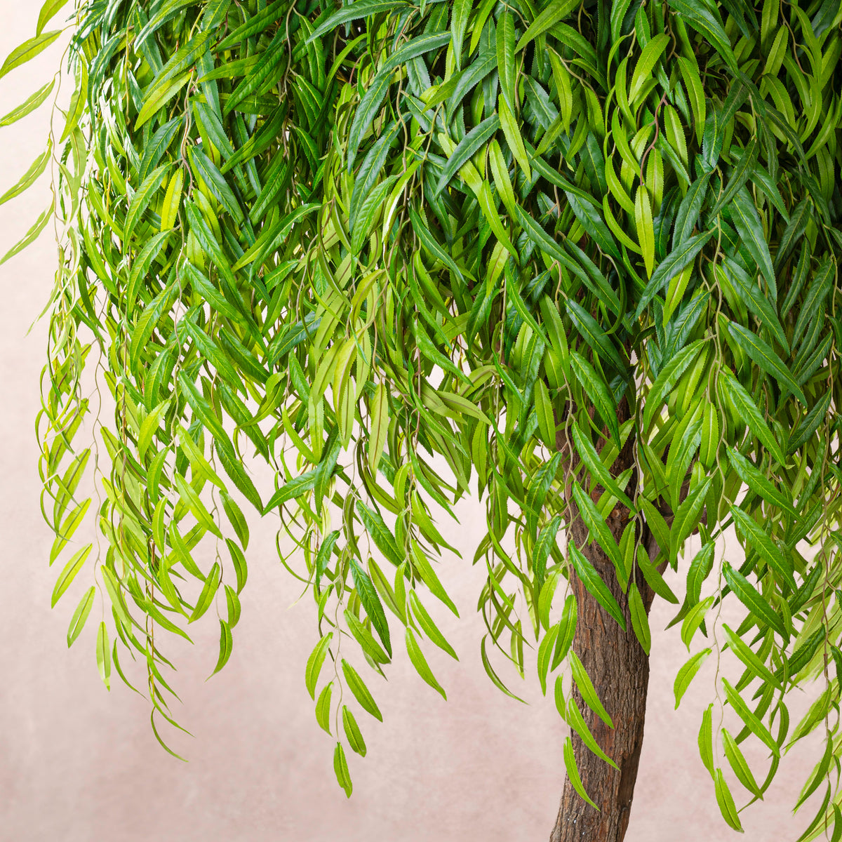 Artificial Weeping Willow Tree Natural Trunk (W/O pot)