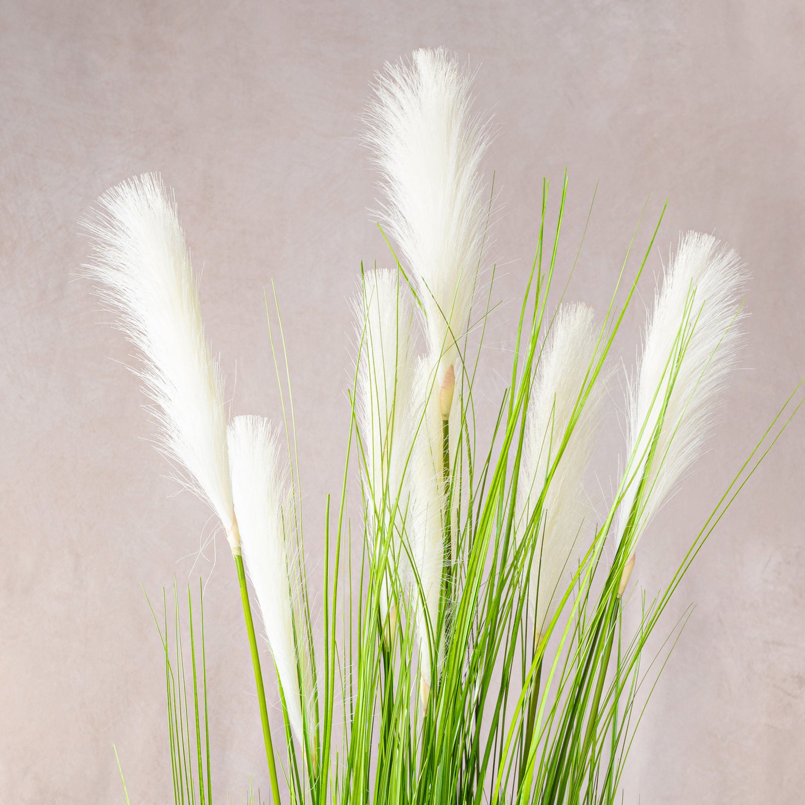Artificial White Pampas Grass 150cm (W/O pot)