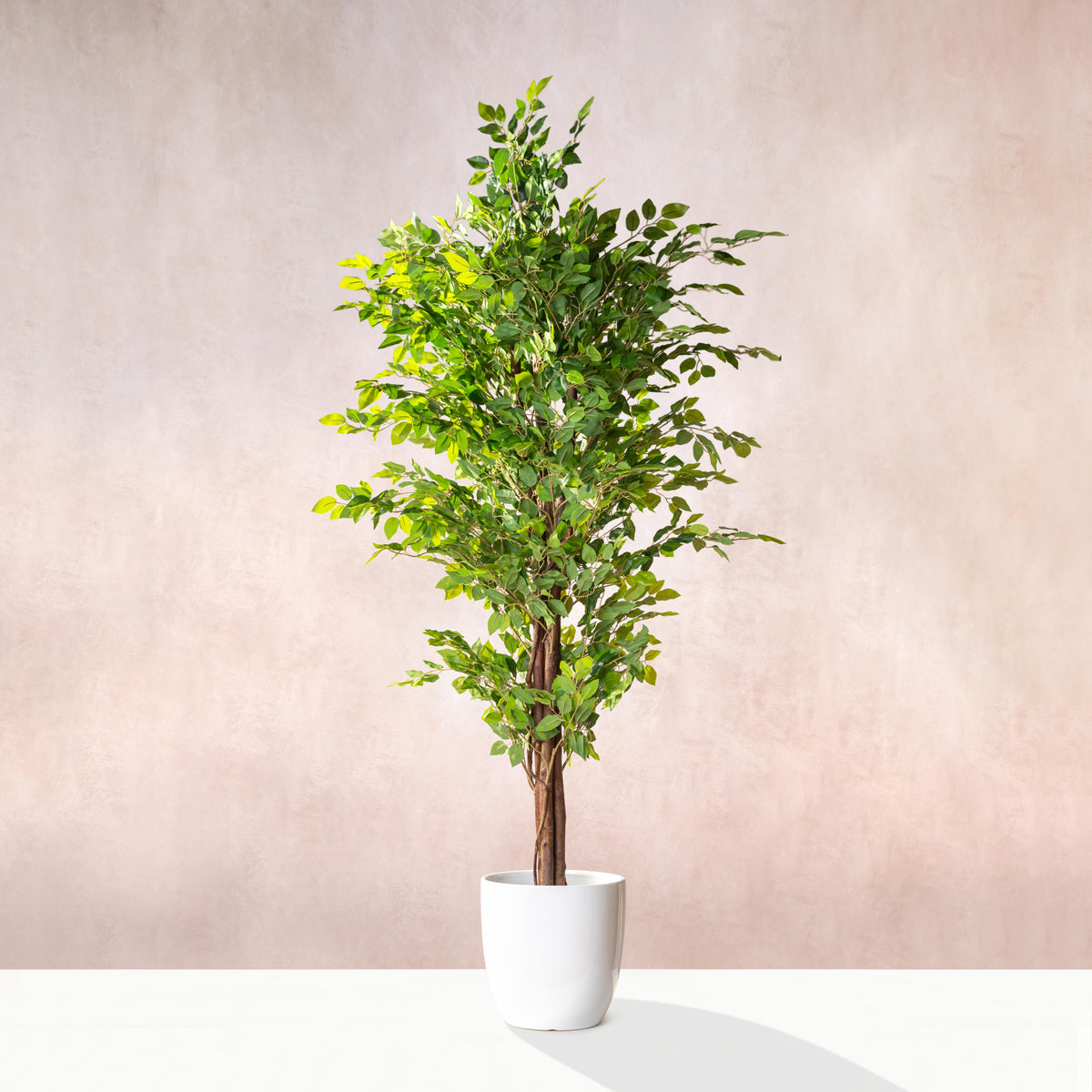 Artificial Ficus Tree - Natural Trunk (W/O Pot)