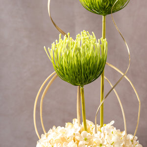 The Verdant Sphere (Vase Included)