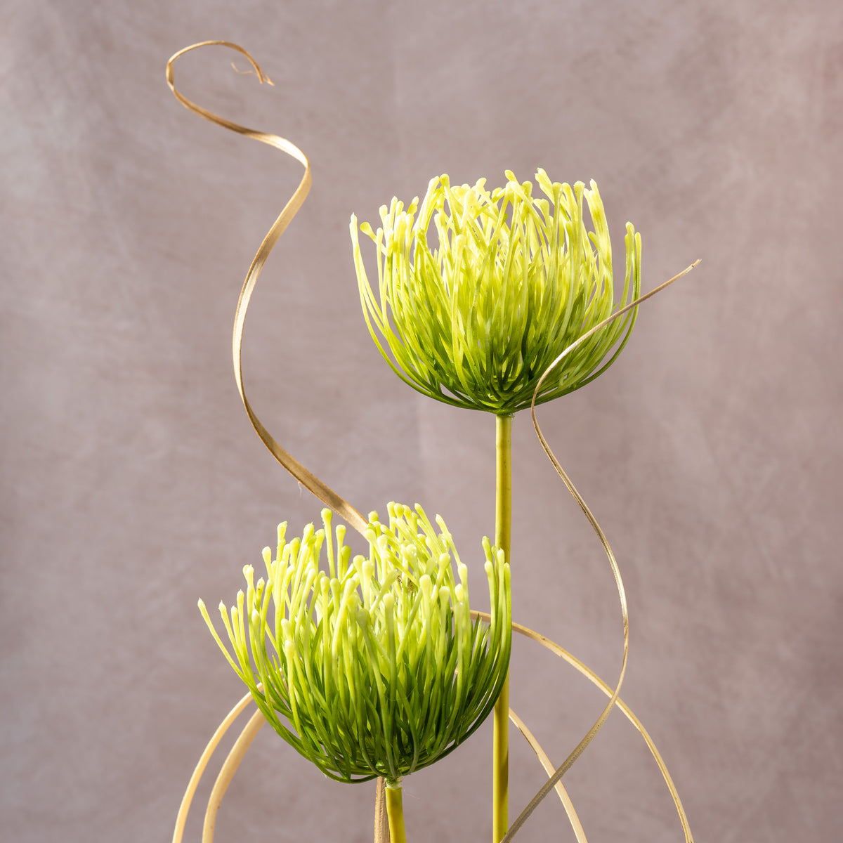 The Verdant Sphere (Vase Included)