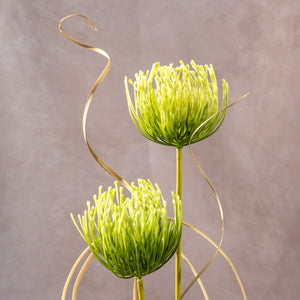 The Verdant Sphere (Vase Included)