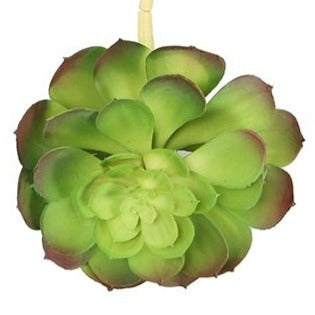Artificial Echeveria Succulent Plant