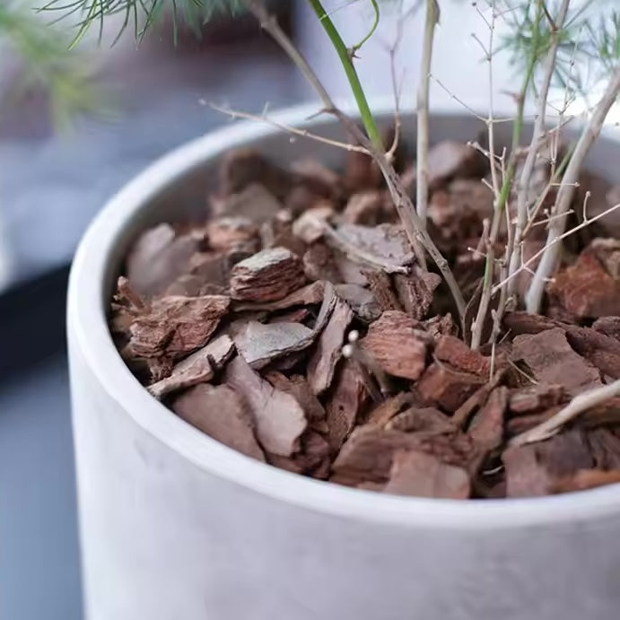 Tree-Pot Installation Service