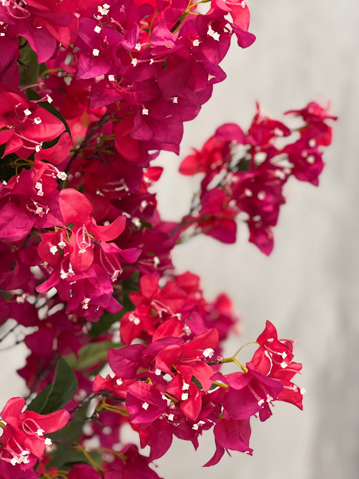 Artificial Bougainvillea Tree Plant 180cm (W/O POT)