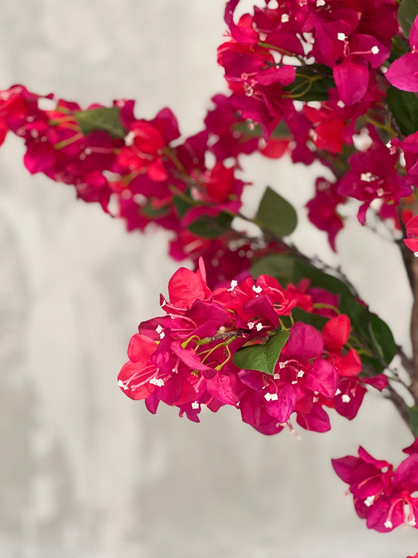 Artificial Bougainvillea Tree Plant 180cm (W/O POT)