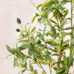 Artificial Olive Tree Plant 150cm (W/O pot)