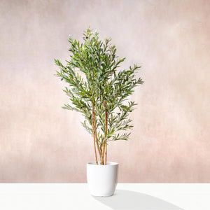 Artificial Olive Tree - Natural Multi Trunk 180cm (W/O pot)