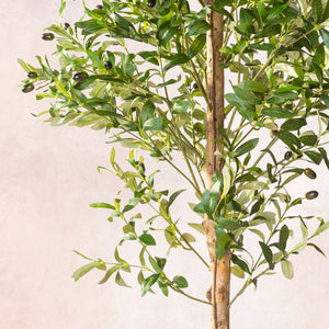 Artificial Olive Tree Natural Trunk 180cm (W/O pot)