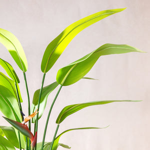 Artificial Bird Of Paradise (W/O pot)