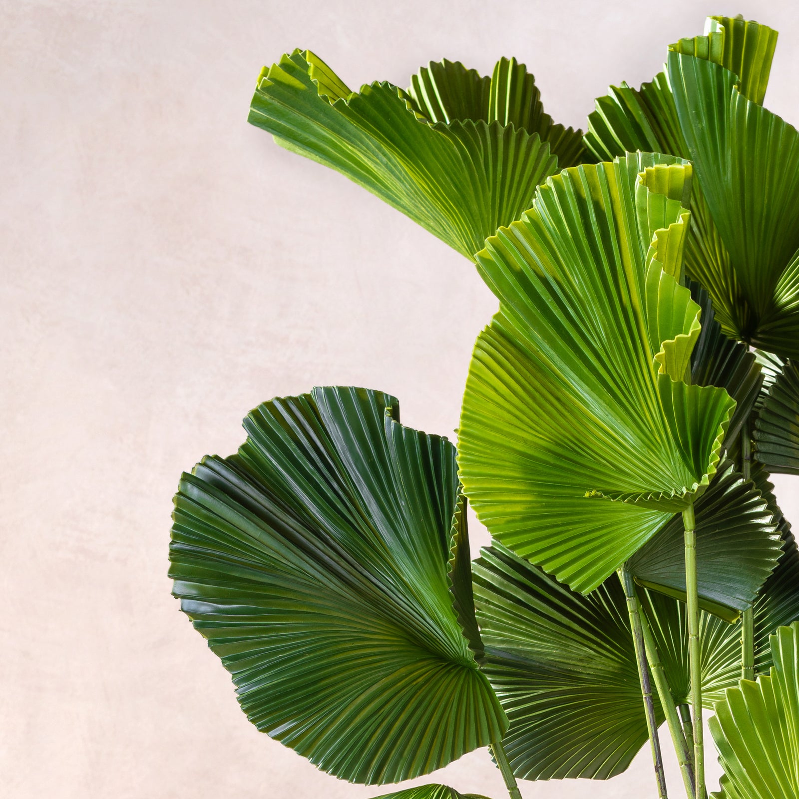 Artificial Ruffled Fan Palm Tree (W/O pot)