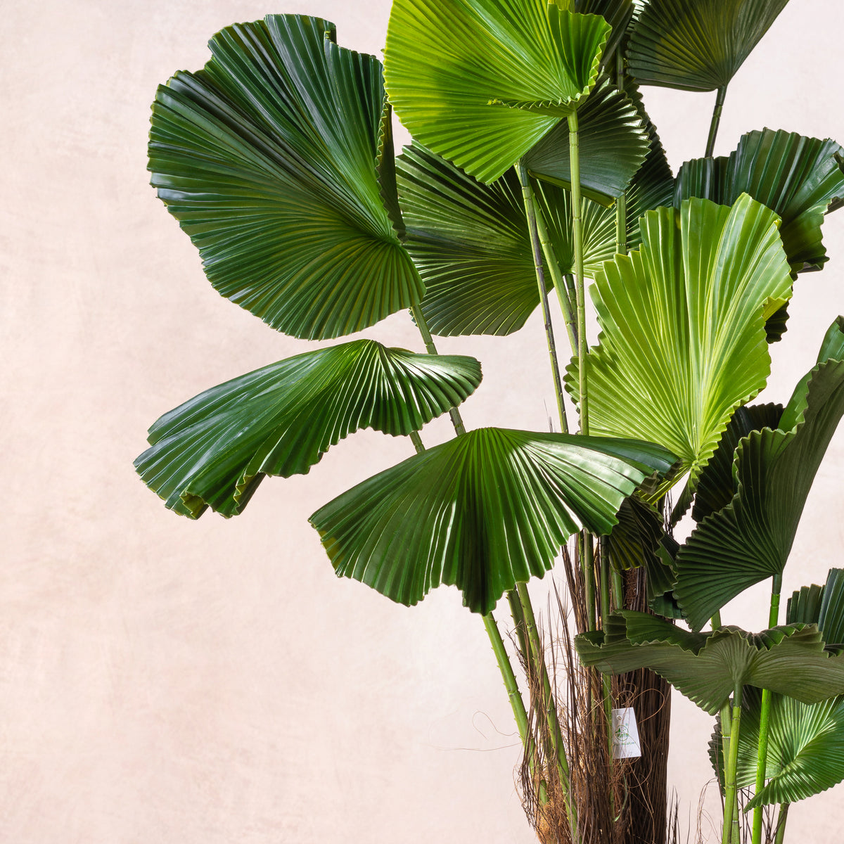 Artificial Ruffled Fan Palm Tree (W/O pot)