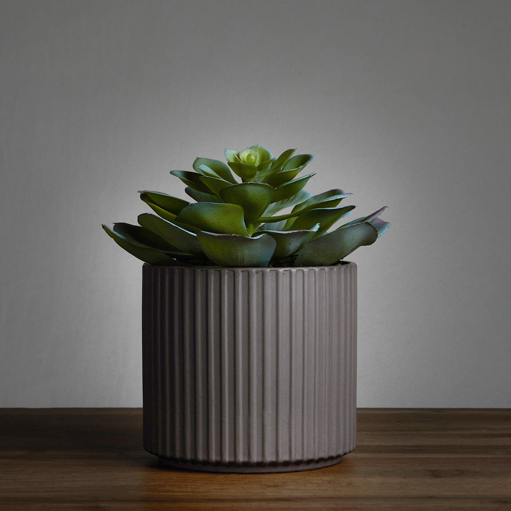 Unicorn Succulent pot