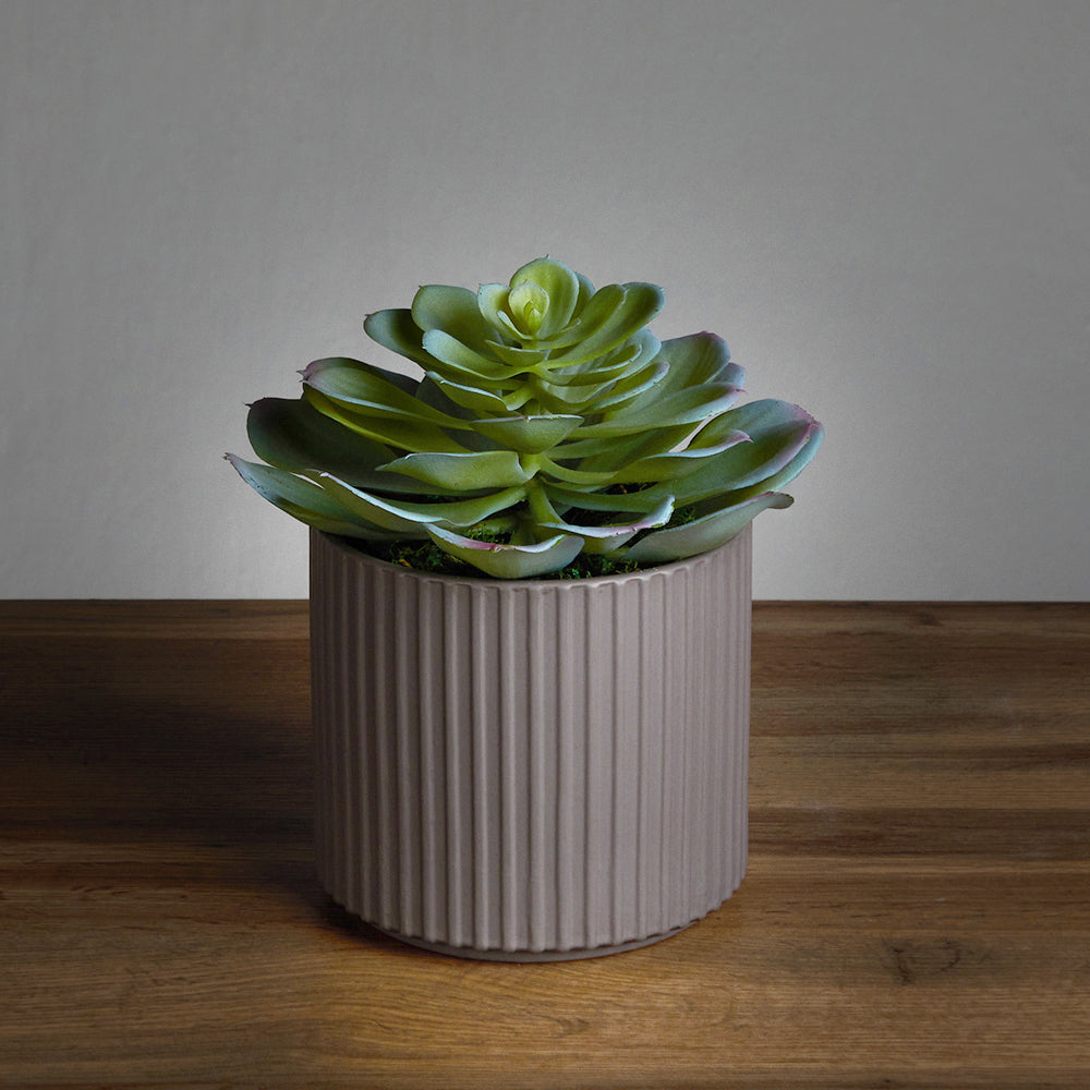 Unicorn Succulent pot
