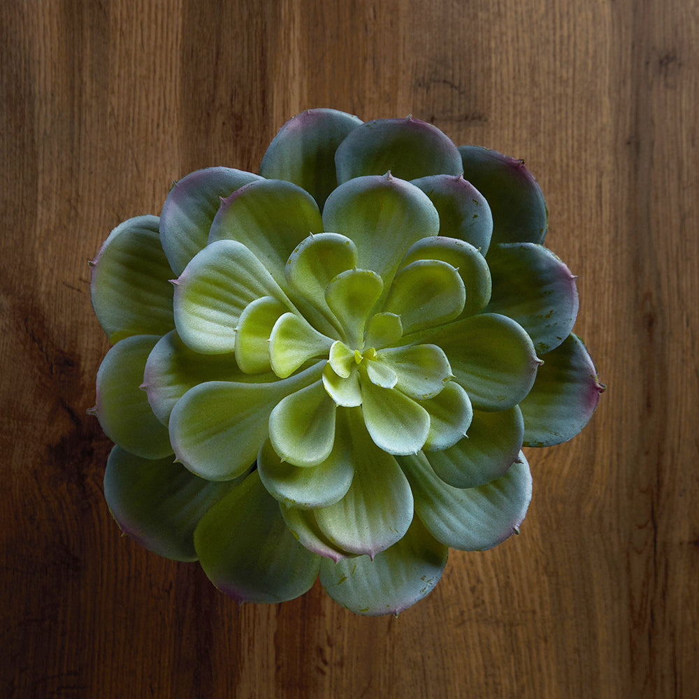 Unicorn Succulent pot