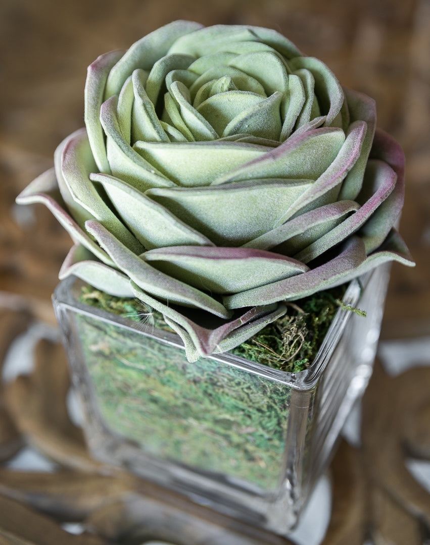 Artificial Succulent Rose