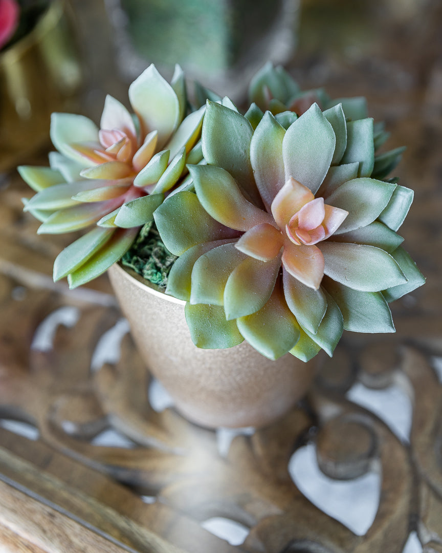Artificial Small Succulent flower