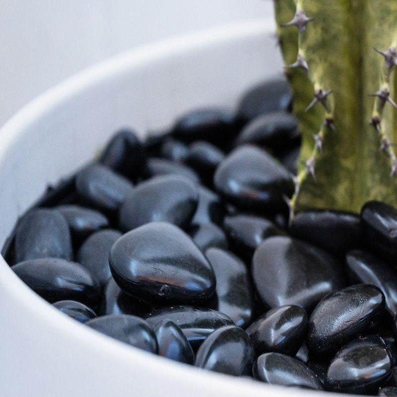 Tree-Pot Installation Service