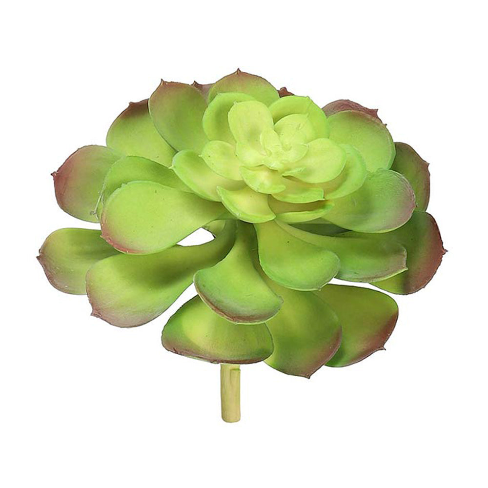 Artificial Echeveria Succulent Plant