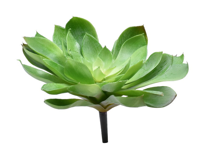 Artificial Echeveria Peacock Succulent flower