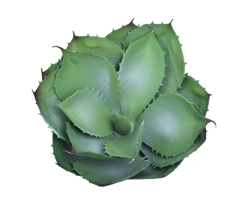 Artificial Agave Succulent Plant