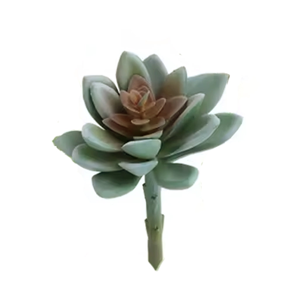 Artificial Small Succulent flower