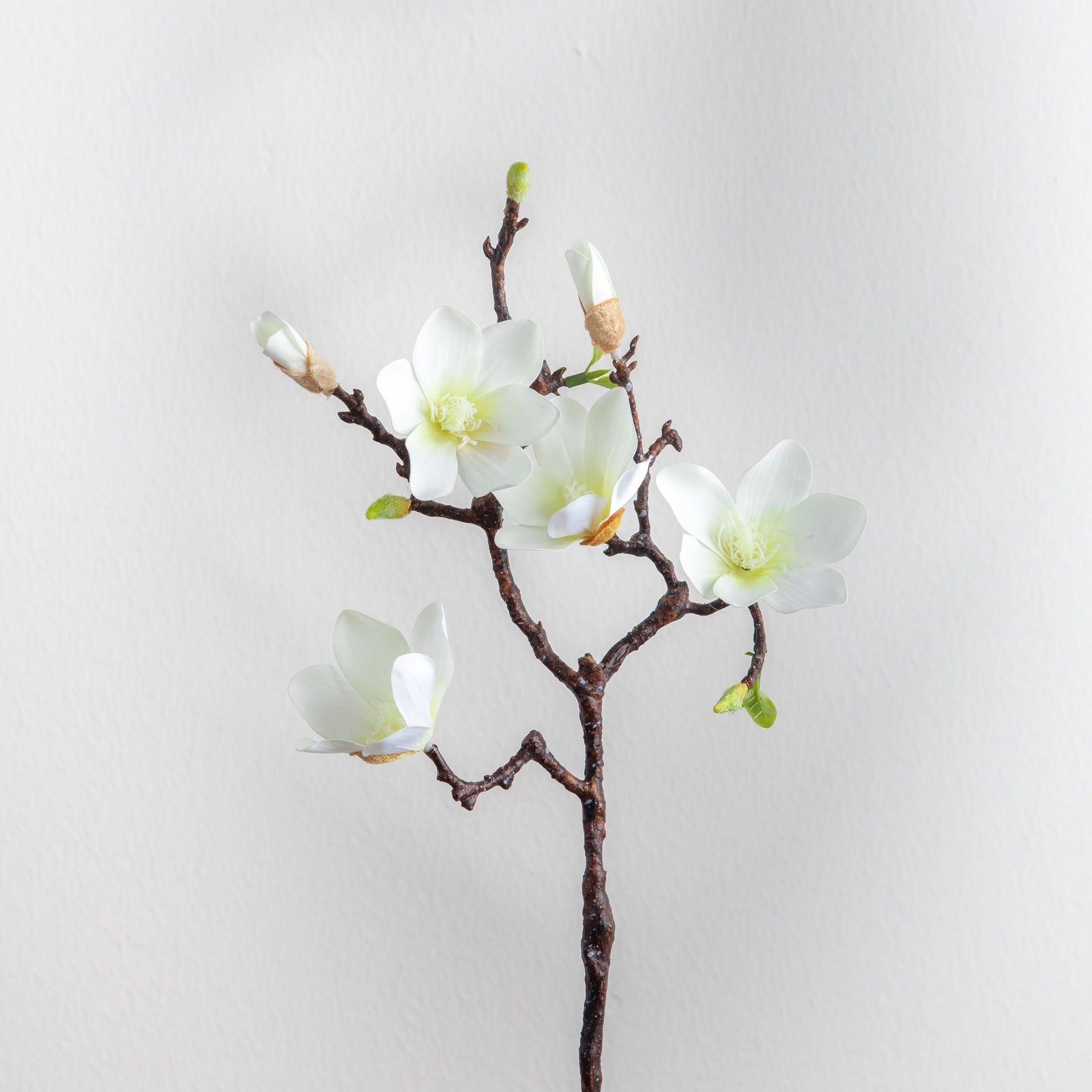 Magnolia 6-Heads Stem