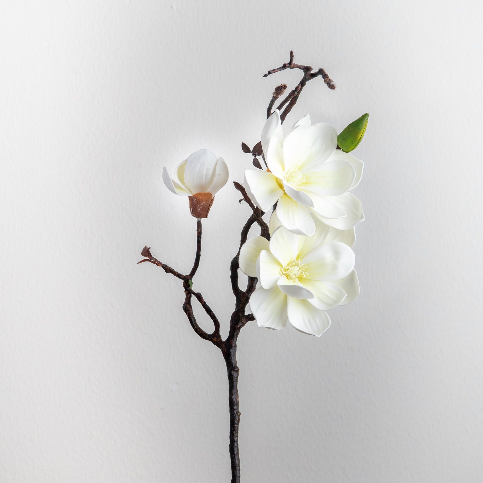 Magnolia 3-Heads Stem