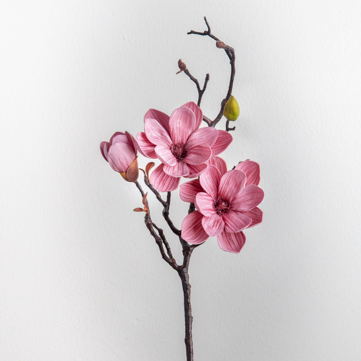 Magnolia 3-Heads Stem