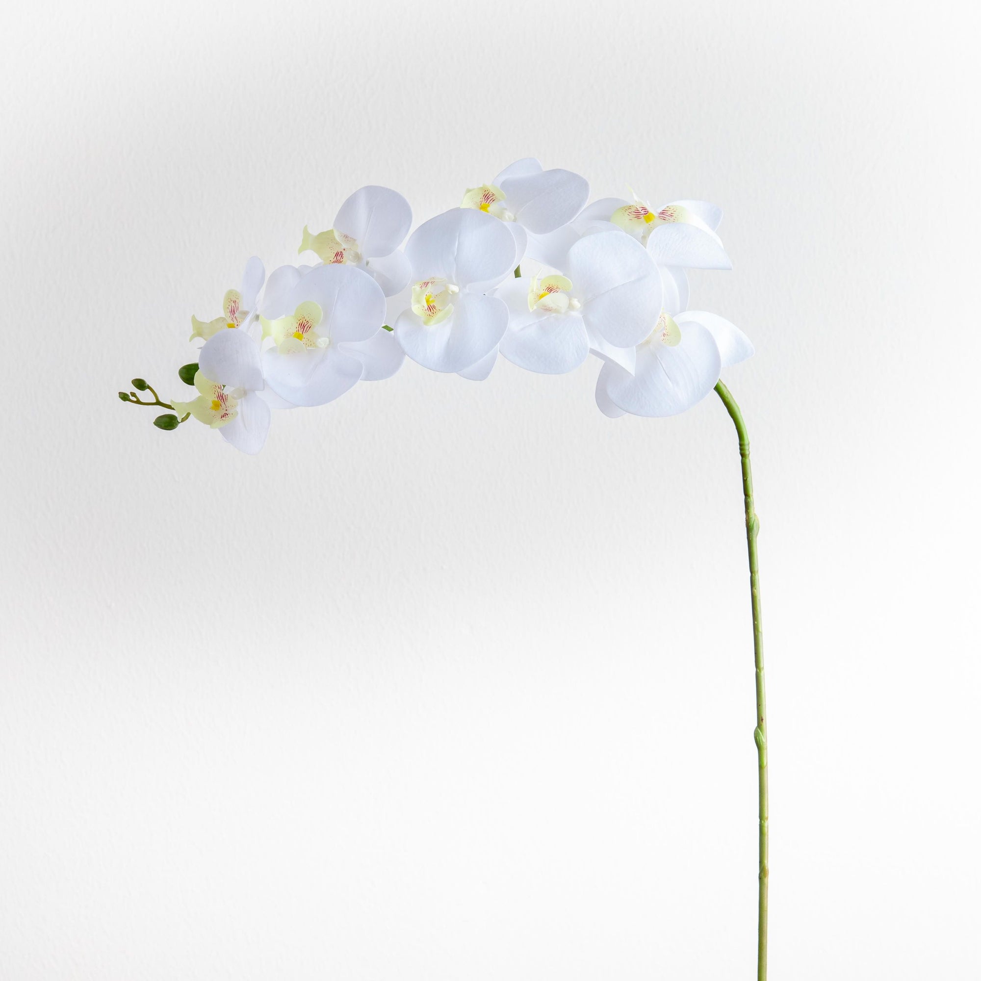 Artificial Orchid Flowers