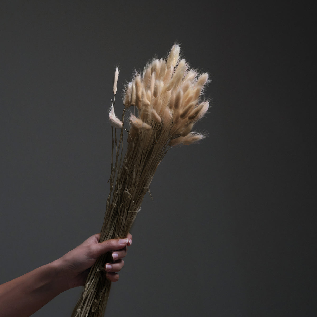 Natural Beige Bunny Tails