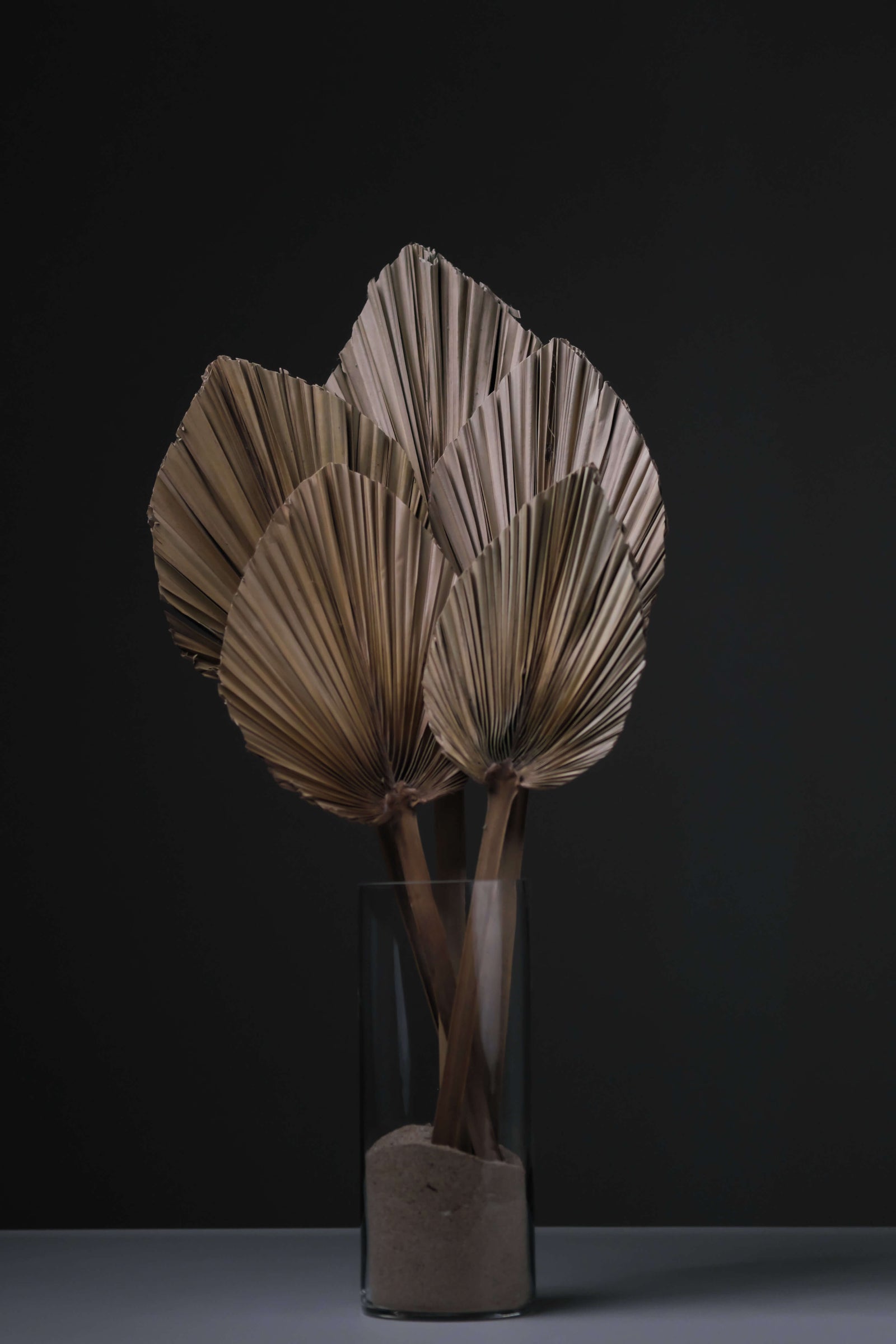 Dried Palm Spears Bunch of 5