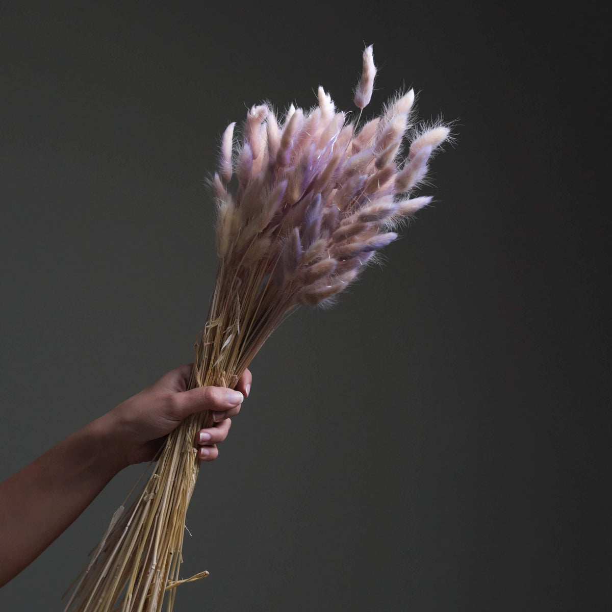 Cream-Purple Bunny Tails