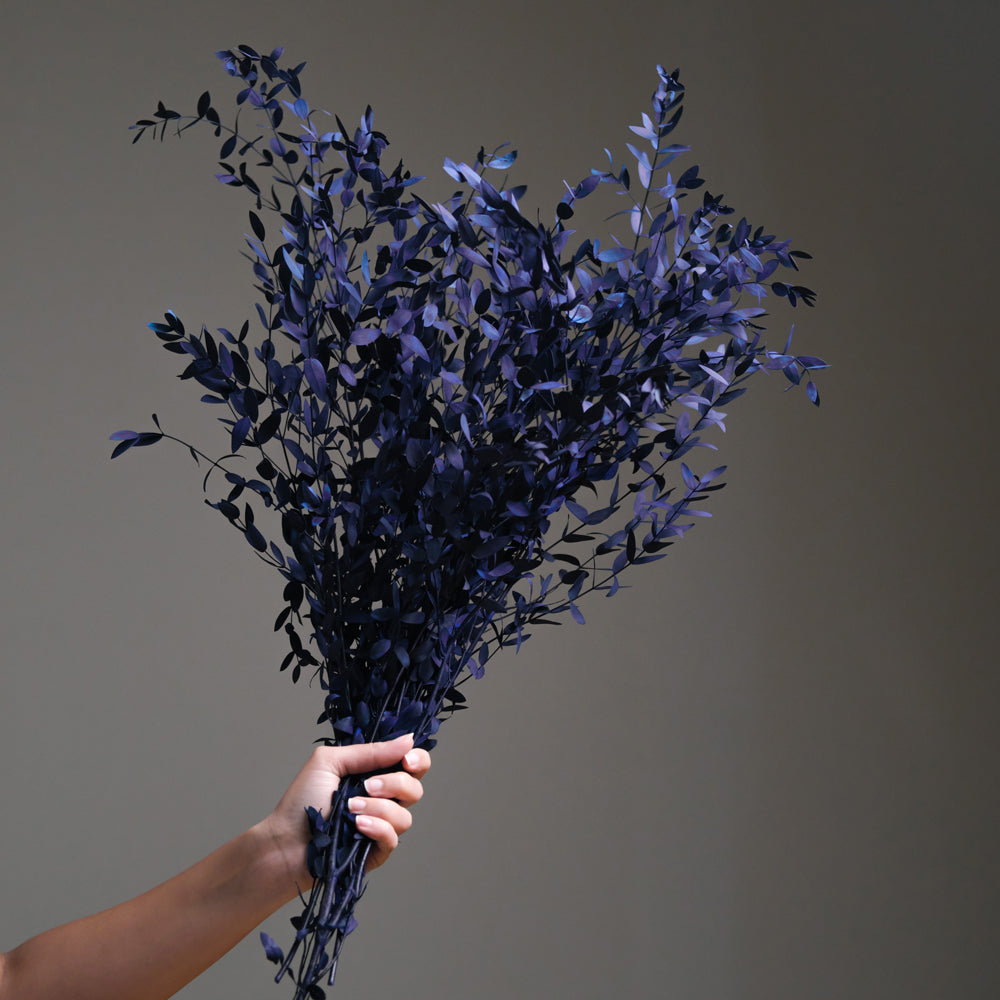 Purplish Blue Dried Ruscus Leaves Bunch