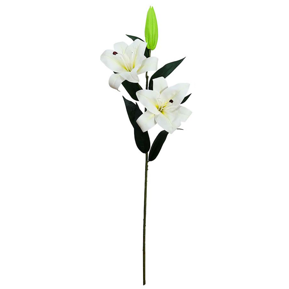 White Lily Flower Branch