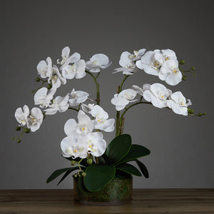 Artificial Round Orchid Arrangement in a Glass Vase