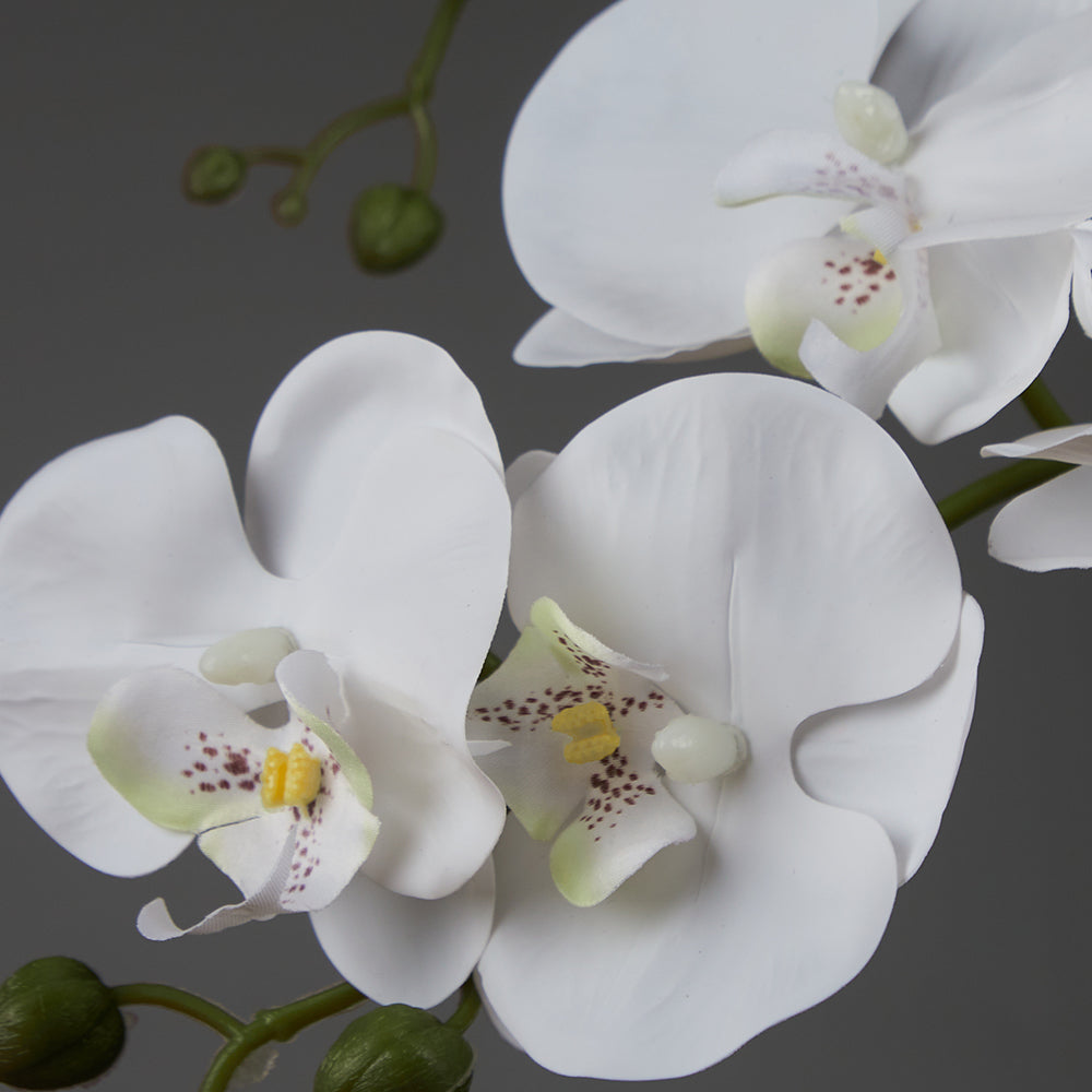 Artificial Round Orchid Arrangement in a Glass Vase