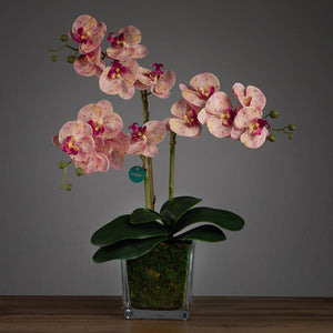 Artificial Triple Pink Orchid in Cubic Glass Vase