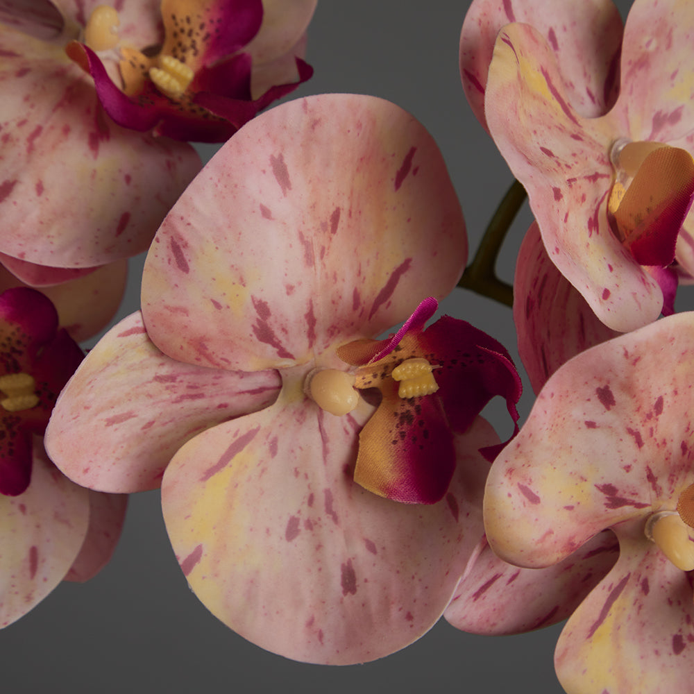 Artificial Triple Pink Orchid in Cubic Glass Vase