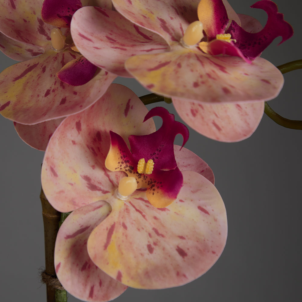 Artificial Double Pink Orchid in Cubic Glass Vase