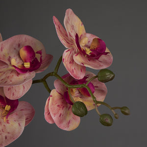 Artificial Double Pink Orchid in Cubic Glass Vase