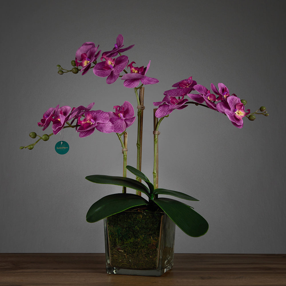 Artificial Triple Purple Orchid in Cubic Glass Vase