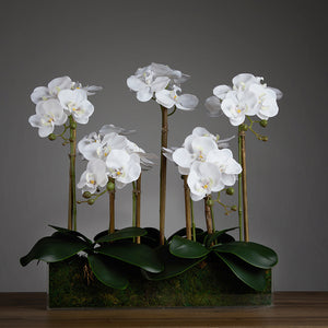 Artificial Long Orchid Arrangement in Acrylic Vase